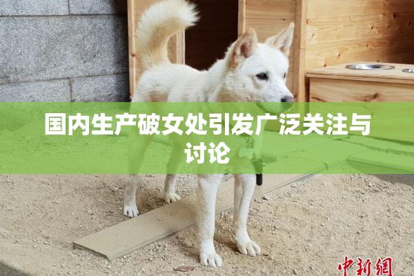 国内生产破女处引发广泛关注与讨论
