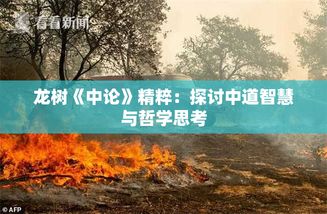 龙树《中论》精粹：探讨中道智慧与哲学思考