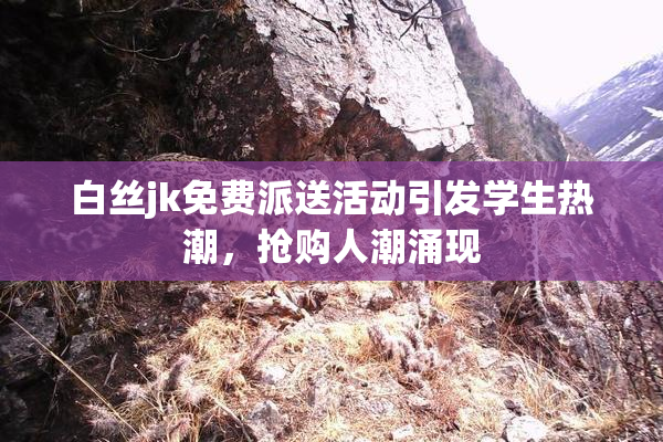 白丝jk免费派送活动引发学生热潮，抢购人潮涌现