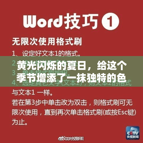 黄光闪烁的夏日，给这个季节增添了一抹独特的色彩。