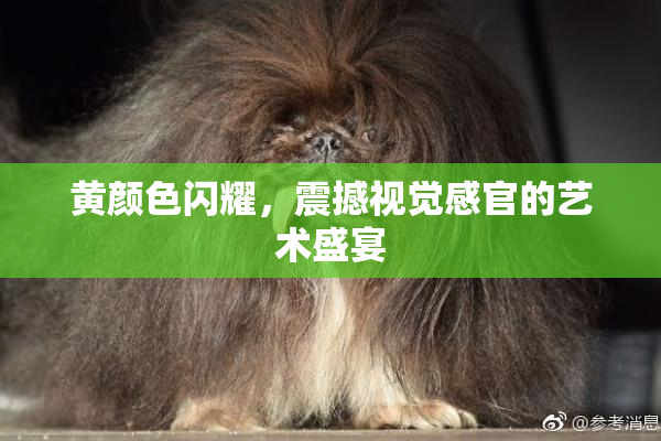 黄颜色闪耀，震撼视觉感官的艺术盛宴
