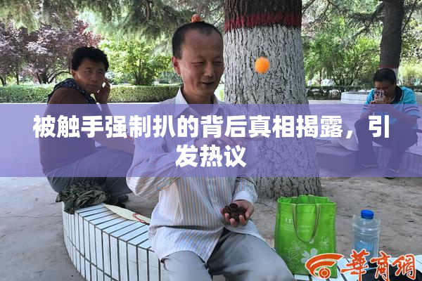 被触手强制扒的背后真相揭露，引发热议