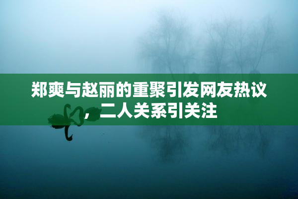 郑爽与赵丽的重聚引发网友热议，二人关系引关注