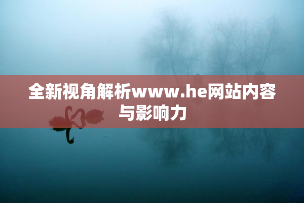 全新视角解析www.he网站内容与影响力