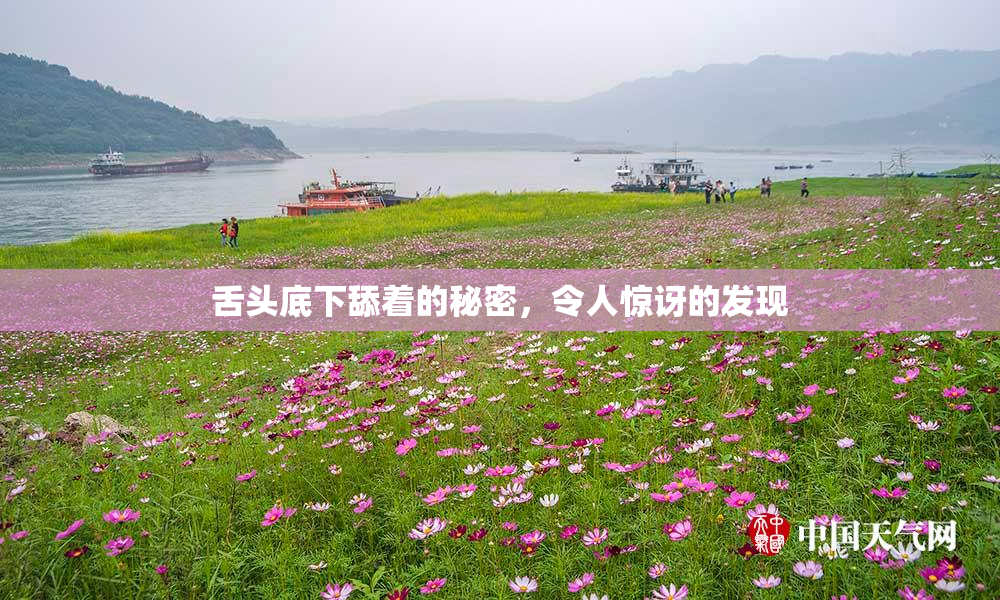 舌头底下舔着的秘密，令人惊讶的发现