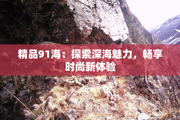 精品91海：探索深海魅力，畅享时尚新体验