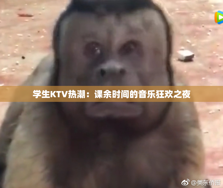 学生KTV热潮：课余时间的音乐狂欢之夜