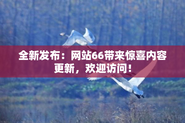全新发布：网站66带来惊喜内容更新，欢迎访问！