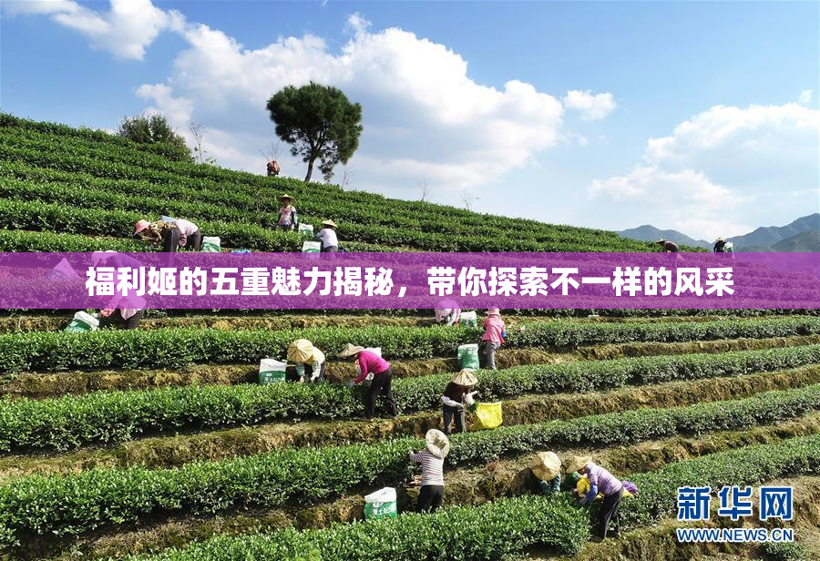 福利姬的五重魅力揭秘，带你探索不一样的风采
