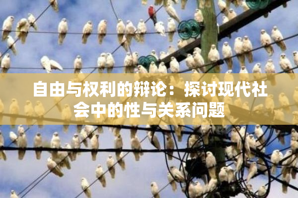 自由与权利的辩论：探讨现代社会中的性与关系问题