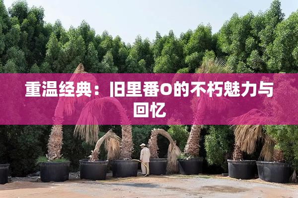 重温经典：旧里番O的不朽魅力与回忆