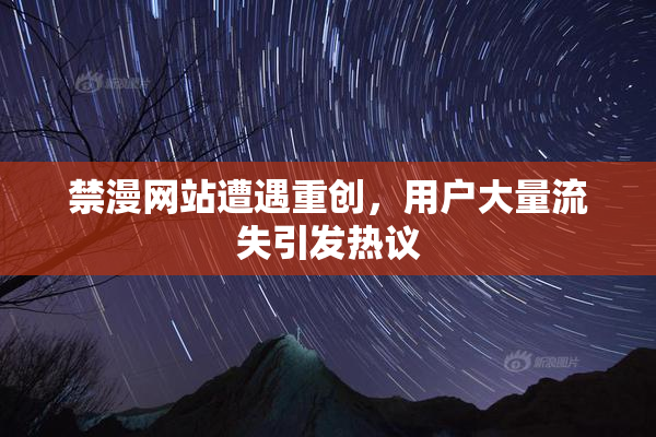 禁漫网站遭遇重创，用户大量流失引发热议