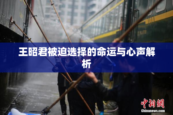 王昭君被迫选择的命运与心声解析