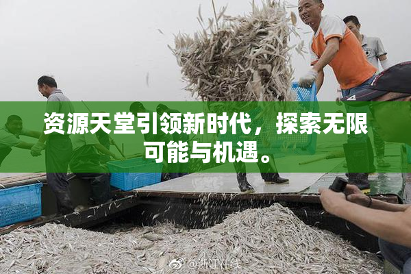 资源天堂引领新时代，探索无限可能与机遇。