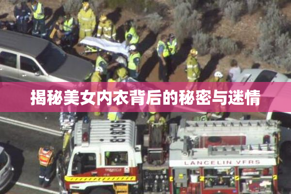 揭秘美女内衣背后的秘密与迷情