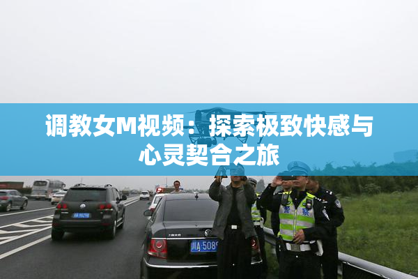调教女M视频：探索极致快感与心灵契合之旅