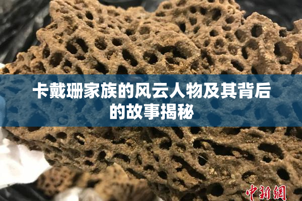 卡戴珊家族的风云人物及其背后的故事揭秘