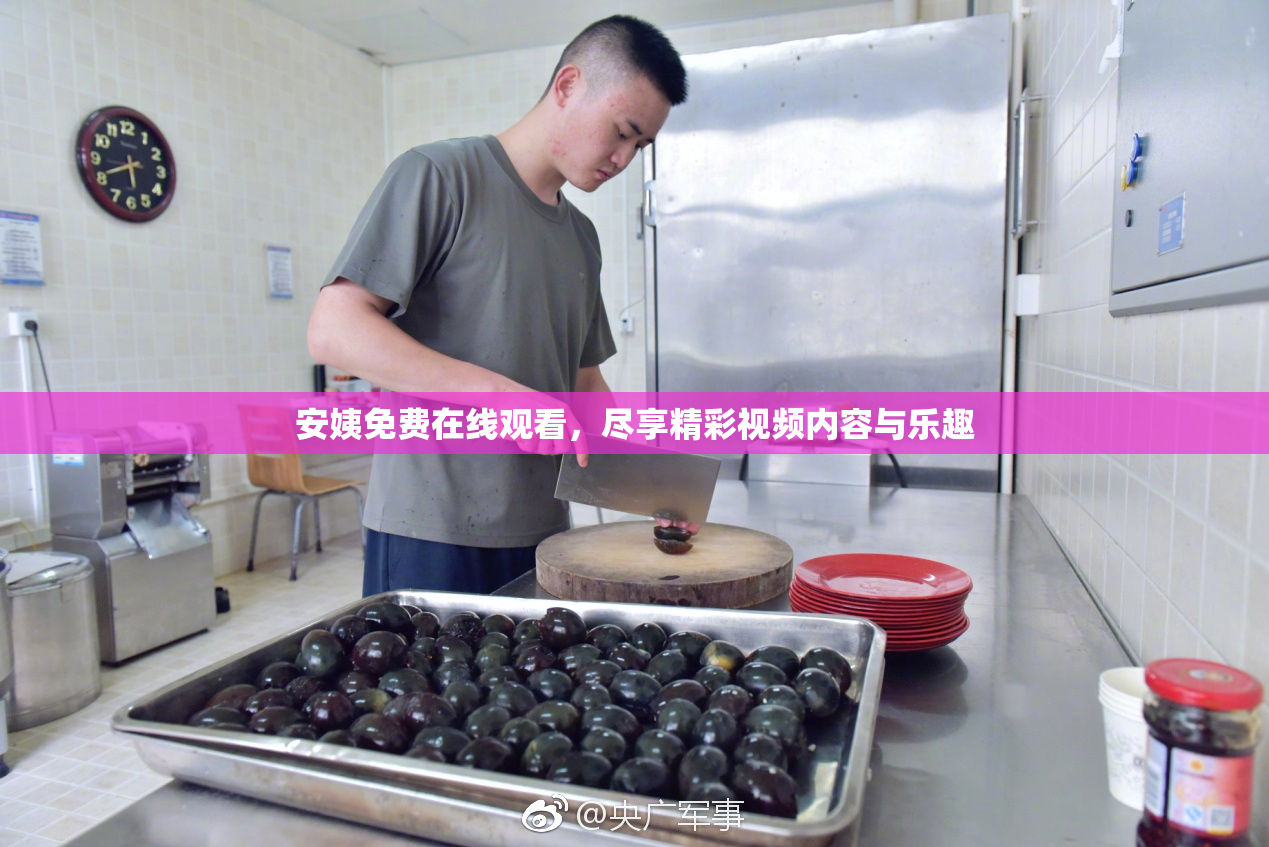 安姨免费在线观看，尽享精彩视频内容与乐趣