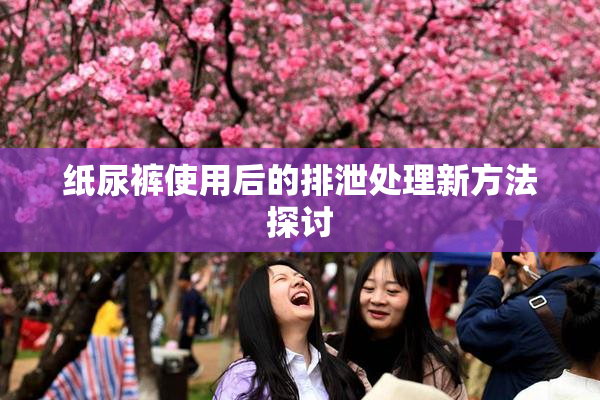 纸尿裤使用后的排泄处理新方法探讨