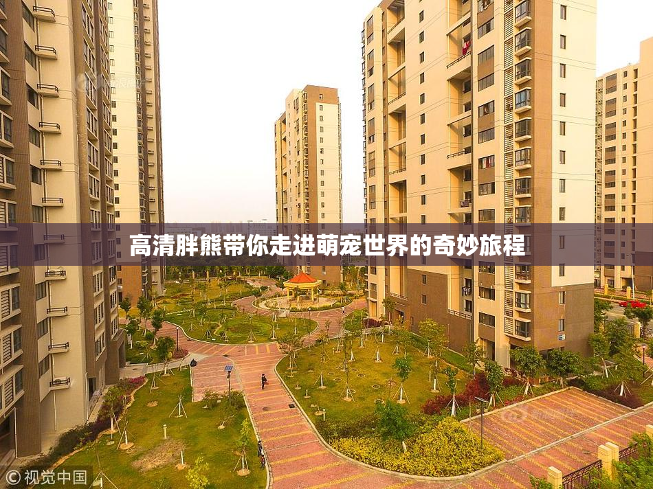 高清胖熊带你走进萌宠世界的奇妙旅程