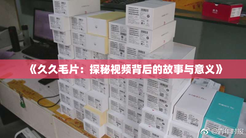 《久久毛片：探秘视频背后的故事与意义》