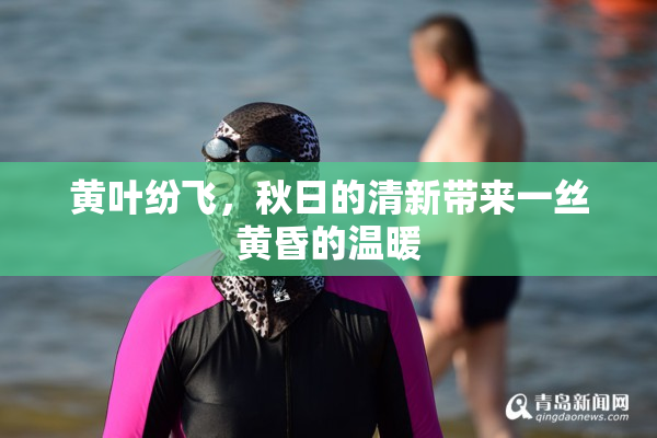 黄叶纷飞，秋日的清新带来一丝黄昏的温暖