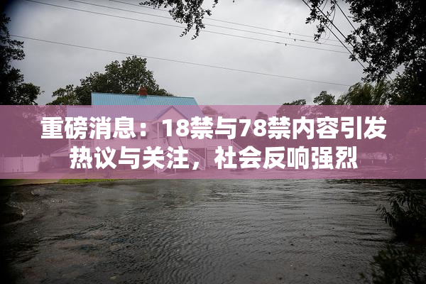 重磅消息：18禁与78禁内容引发热议与关注，社会反响强烈