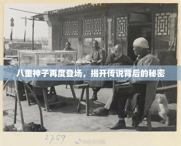 八重神子再度登场，揭开传说背后的秘密