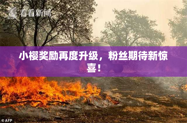 小樱奖励再度升级，粉丝期待新惊喜！