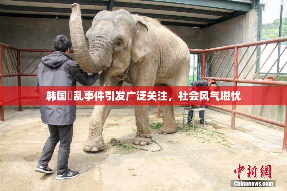 韩国婬乱事件引发广泛关注，社会风气堪忧