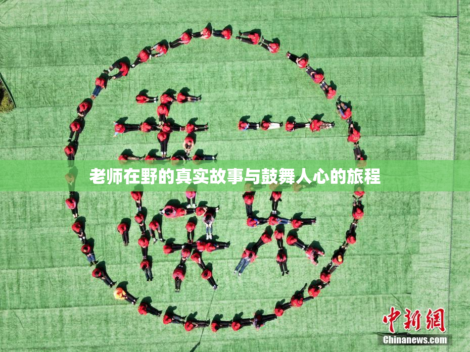 老师在野的真实故事与鼓舞人心的旅程