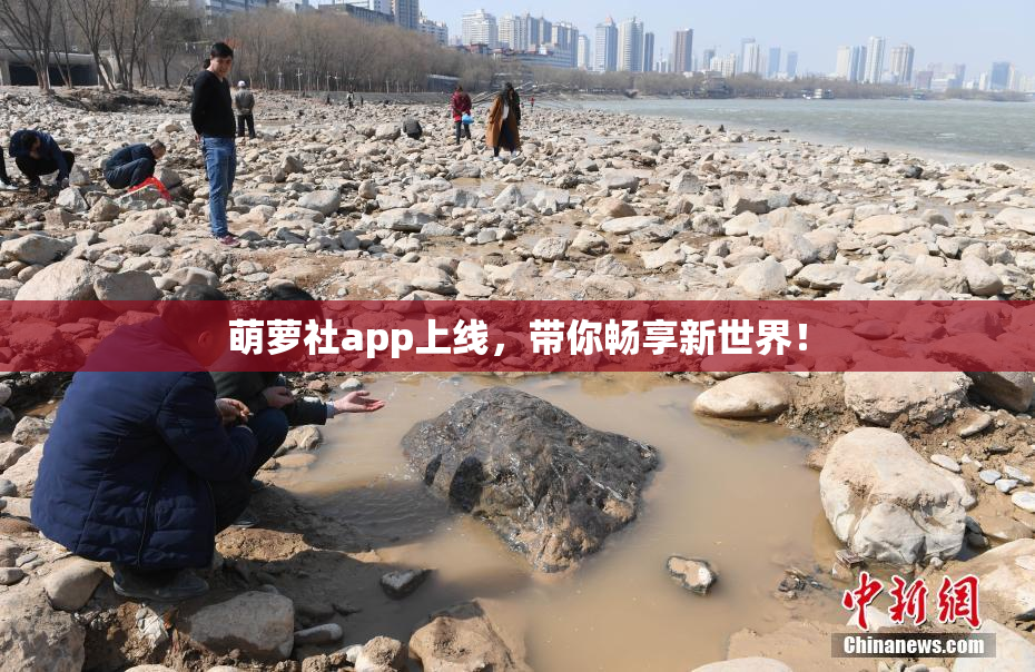 萌萝社app上线，带你畅享新世界！