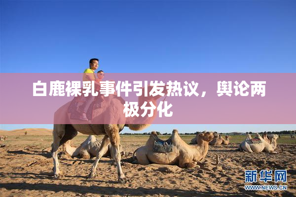 白鹿裸乳事件引发热议，舆论两极分化