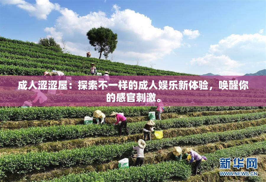 成人涩涩屋：探索不一样的成人娱乐新体验，唤醒你的感官刺激。