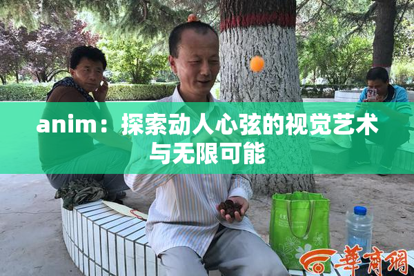 anim：探索动人心弦的视觉艺术与无限可能