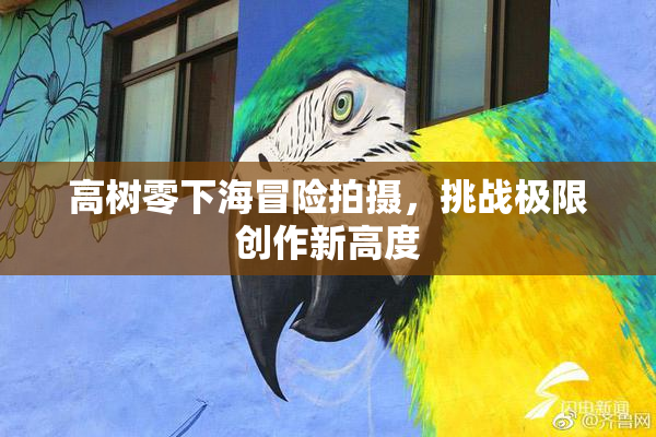 高树零下海冒险拍摄，挑战极限创作新高度