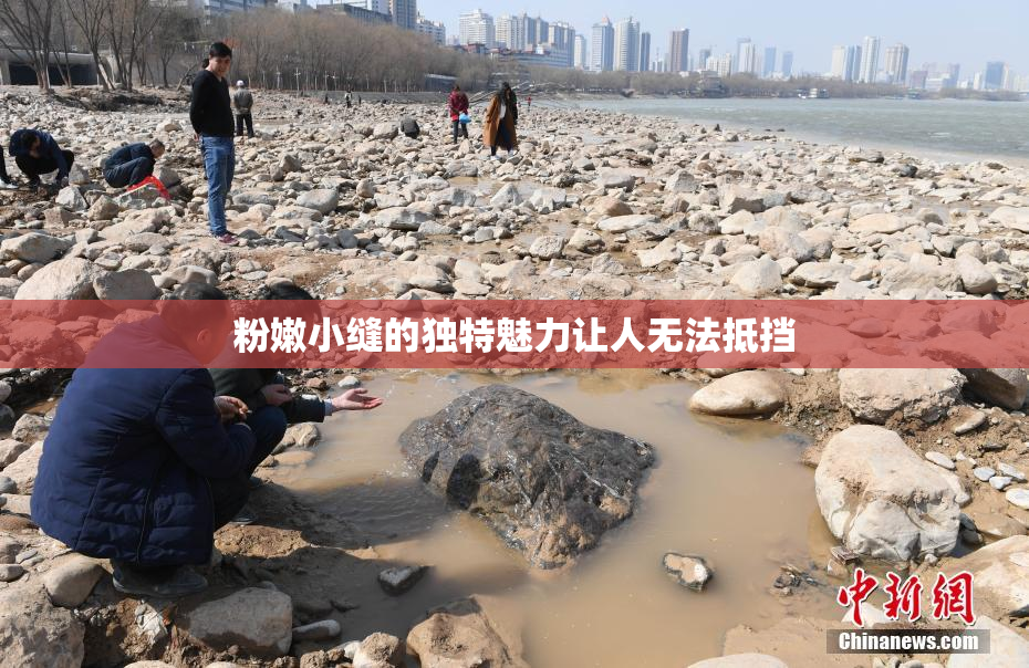 粉嫩小缝的独特魅力让人无法抵挡