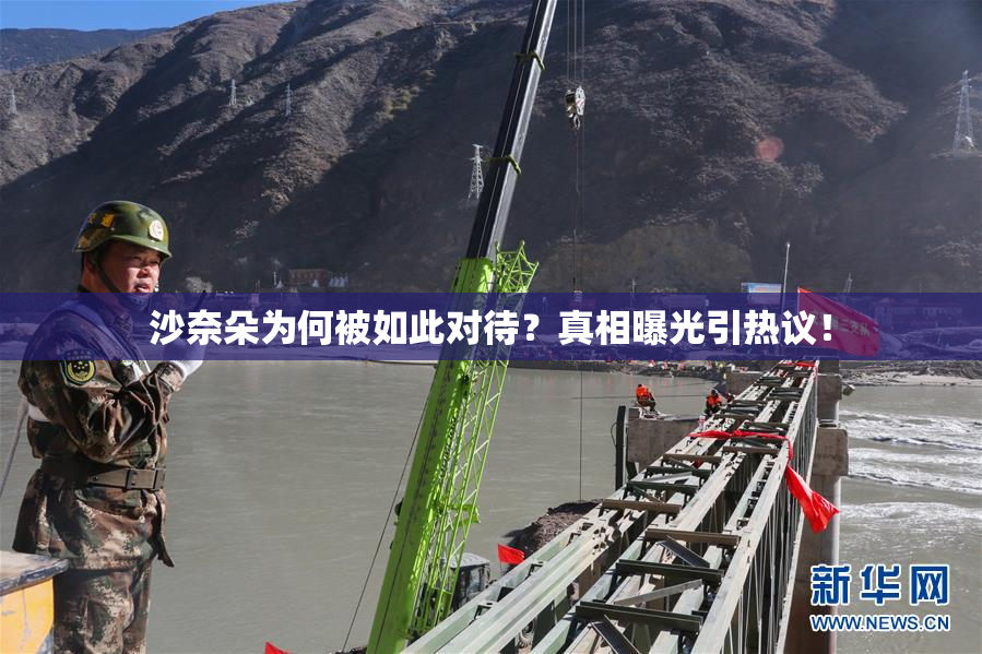 沙奈朵为何被如此对待？真相曝光引热议！