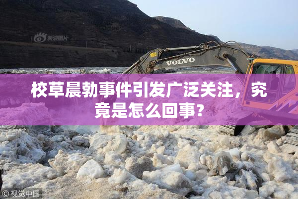 校草晨勃事件引发广泛关注，究竟是怎么回事？