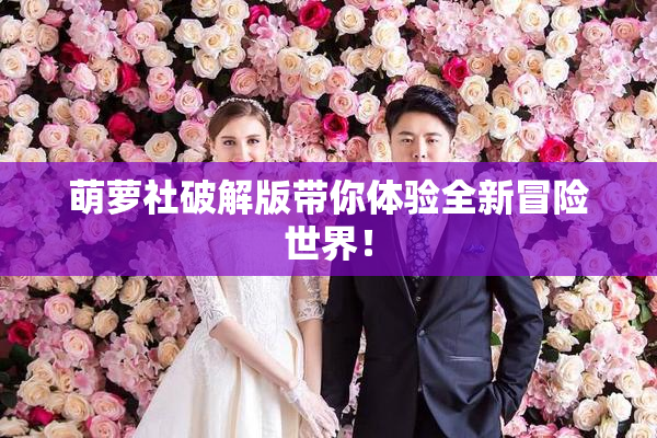 萌萝社破解版带你体验全新冒险世界！