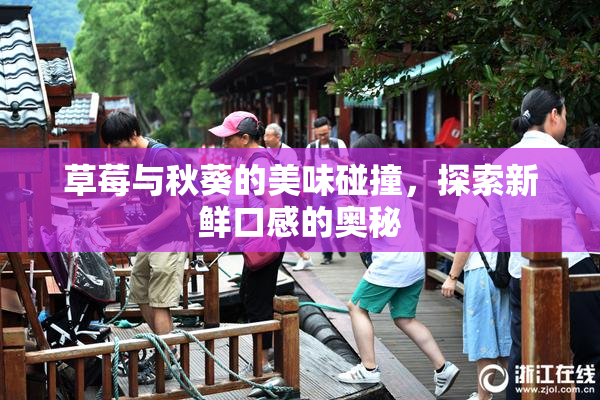 草莓与秋葵的美味碰撞，探索新鲜口感的奥秘
