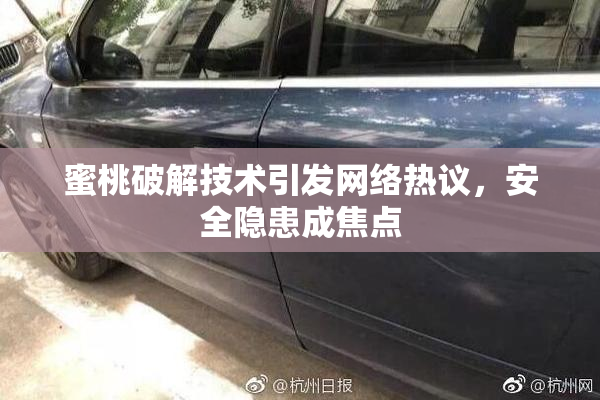 蜜桃破解技术引发网络热议，安全隐患成焦点