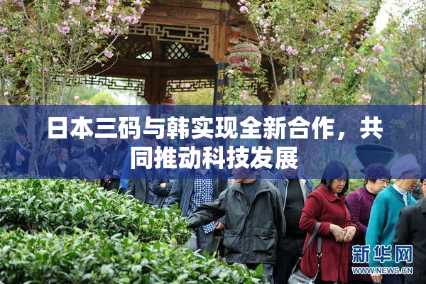 日本三码与韩实现全新合作，共同推动科技发展