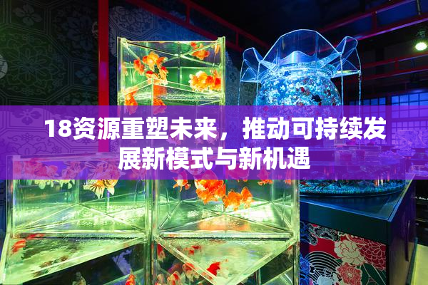 18资源重塑未来，推动可持续发展新模式与新机遇