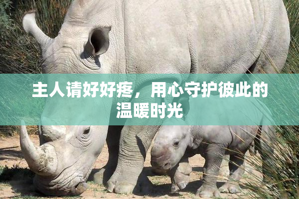主人请好好疼，用心守护彼此的温暖时光
