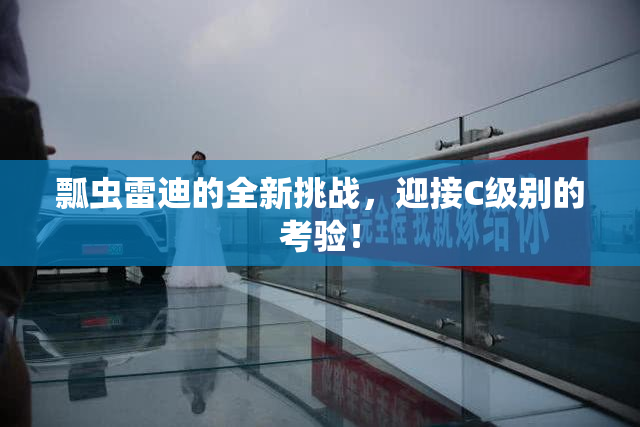 瓢虫雷迪的全新挑战，迎接C级别的考验！