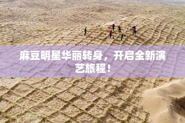麻豆明星华丽转身，开启全新演艺旅程！