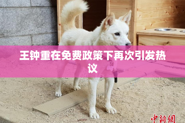 王钟重在免费政策下再次引发热议