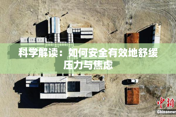 科学解读：如何安全有效地舒缓压力与焦虑