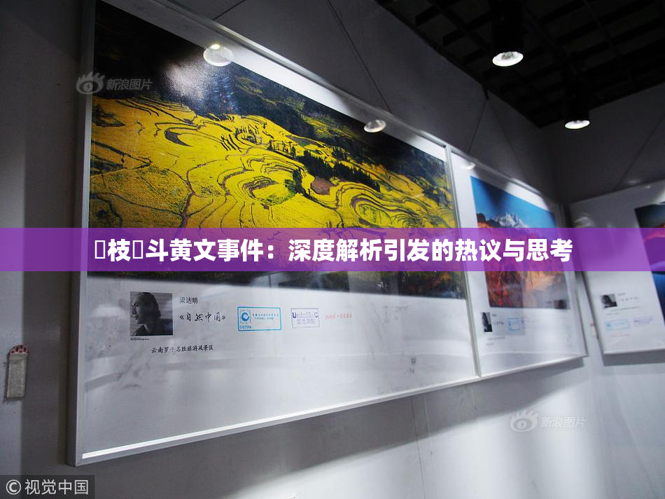 狛枝凪斗黄文事件：深度解析引发的热议与思考